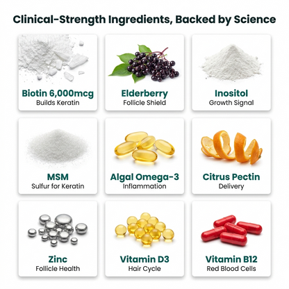 Zenpilo for Men — Ingredients Grid (9 ingredients)